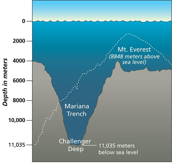 Trench Depth.jpg