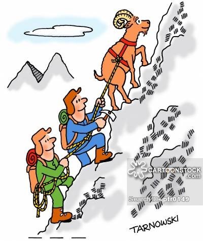 hobbies-leisure-goat-mountain_goat-mountaineering-climber-hiking-ptr0149_low.jpg