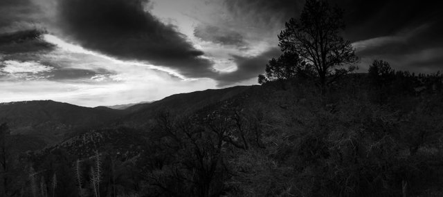 IMG_5557 (2).jpg