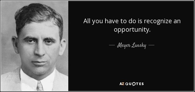 quote-all-you-have-to-do-is-recognize-an-opportunity-meyer-lansky-71-55-99.jpg