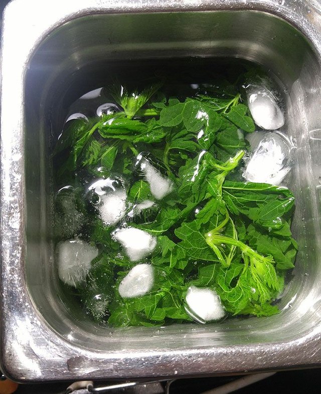 ice water bath nettle.jpg