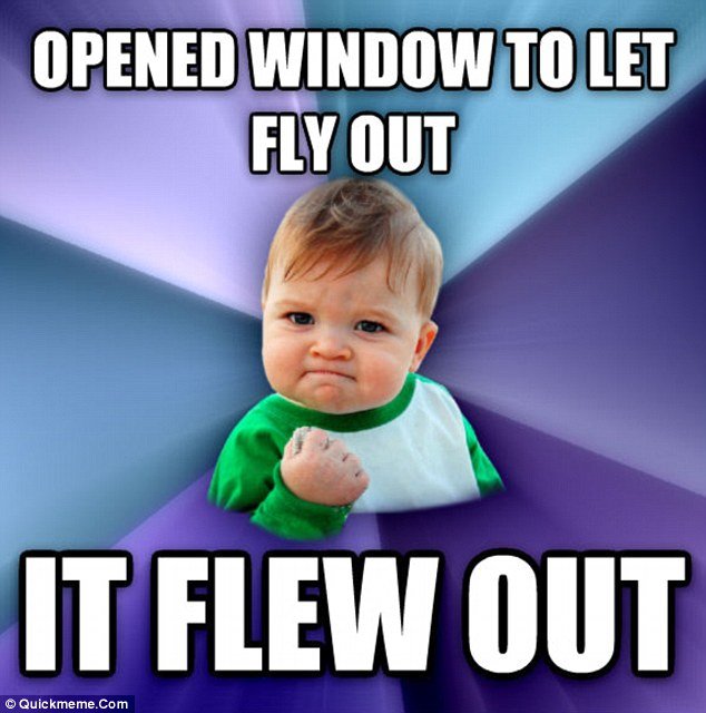 Flew out.jpg