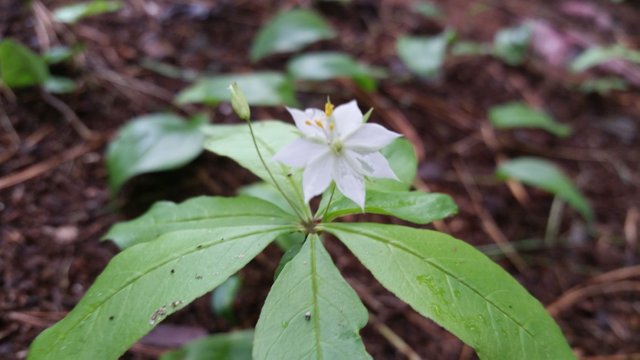 20170526_121043.jpg