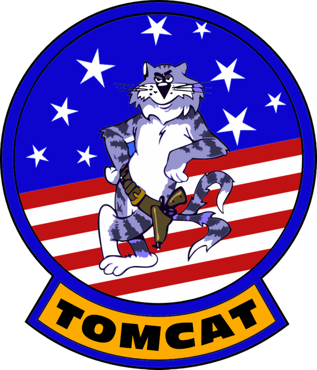 grumman_f_14_tomcat_flight_insignia_by_viperaviator-d6t74jy.png
