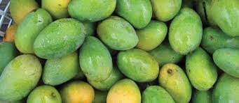 raw mango.jpg