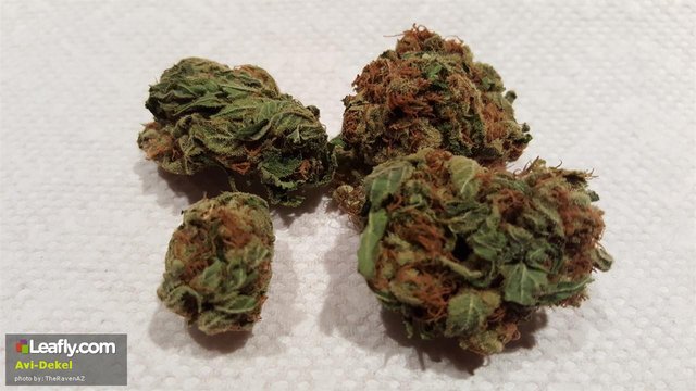 best-high-cbd-low-thc-weed-strains-avi-dekel.jpg
