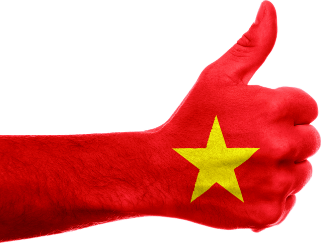 Vietnam-un-cadre-juridique-pour-les-cryptomonnaies.png