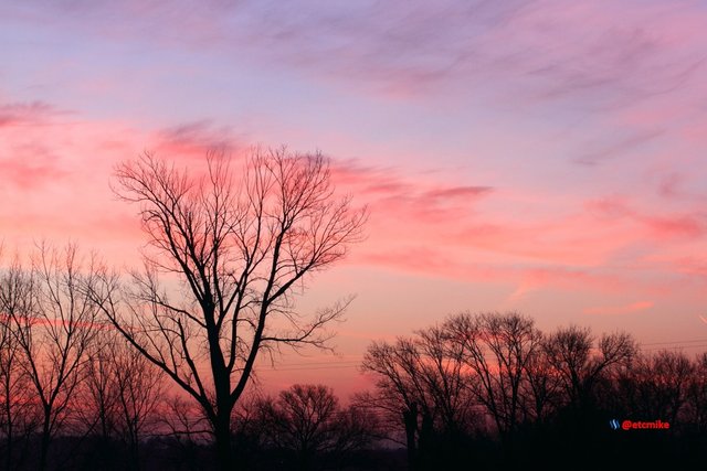 pink sunrise dawn SR15-03.JPG