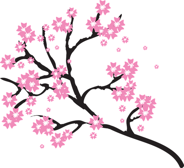 blossoms-2026207_1280.png