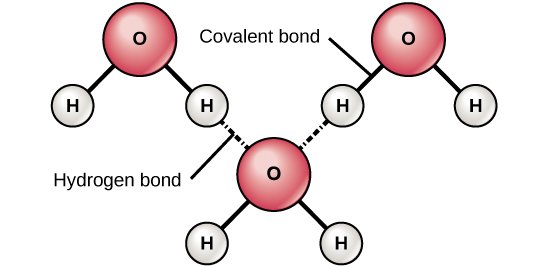 Figure_02_01_06.jpg