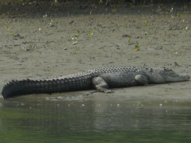DSCN0346.JPG