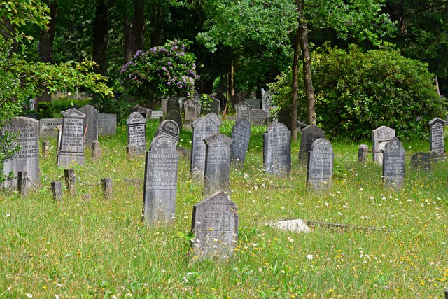 Old gravestones on a cemetery