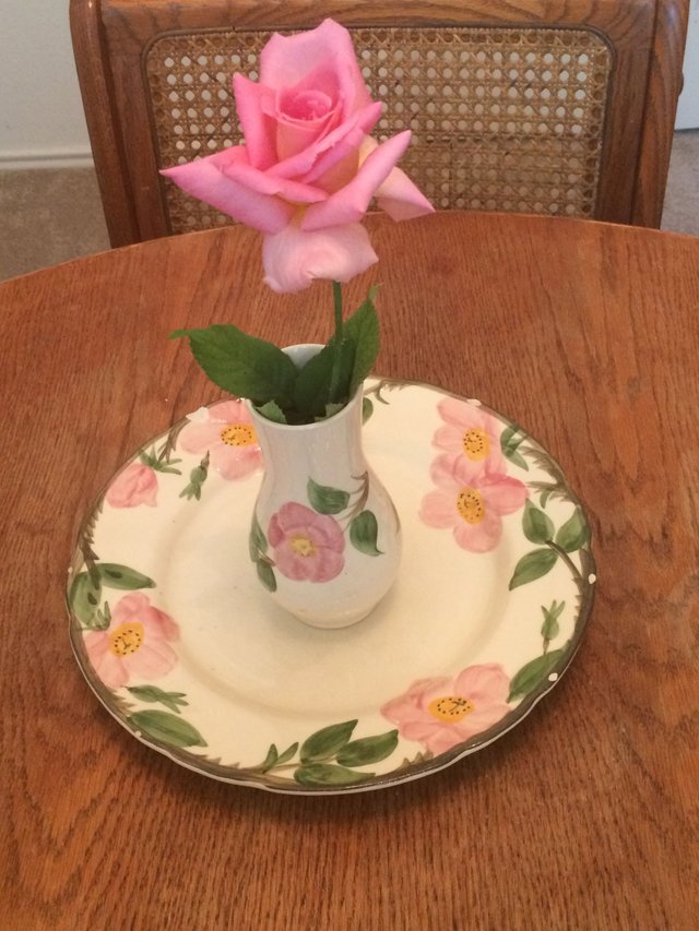 Rose in Vase.JPG