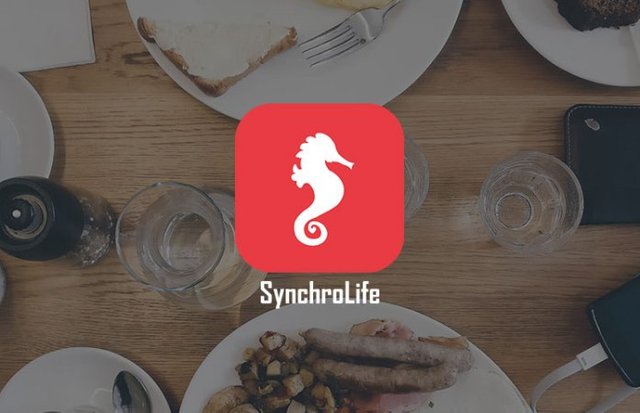 synchrolife header.jpg