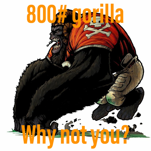 800GorillaMeme.png