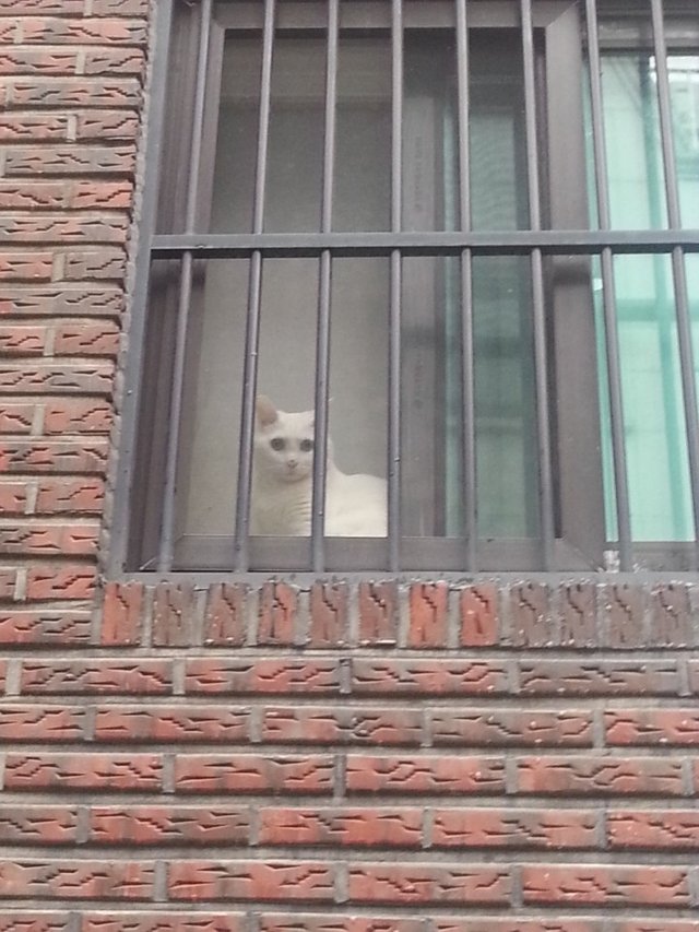 KakaoTalk_20180102_085940323.jpg