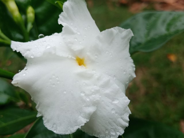 IMG20180225130607.jpg