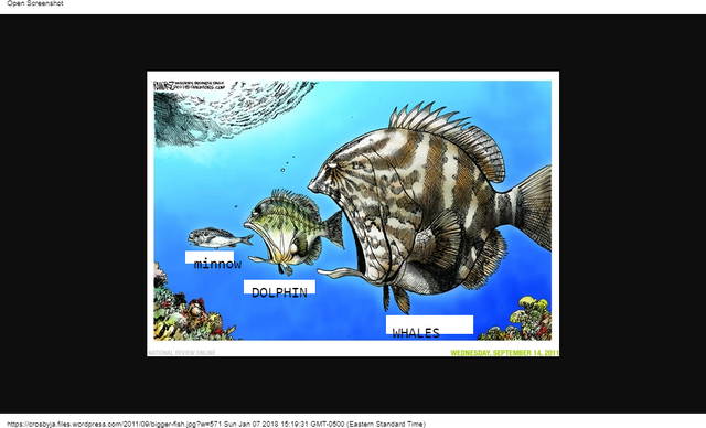 bigger-fish.jpg  571×395 .png