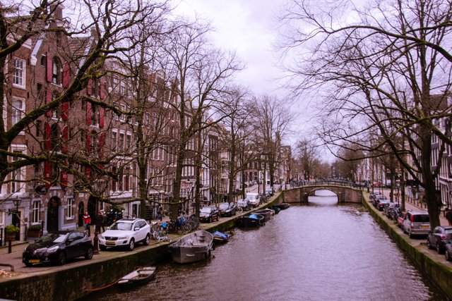 Amsterdam Canal View