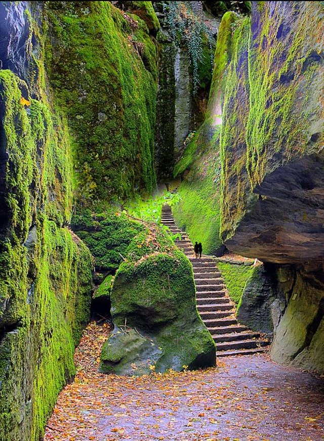 La Verna, Tuscany, Italy.jpg