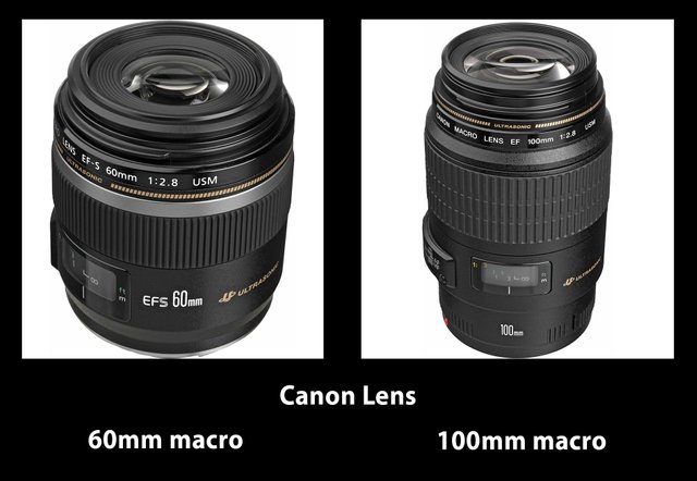 Canon Lens.jpg
