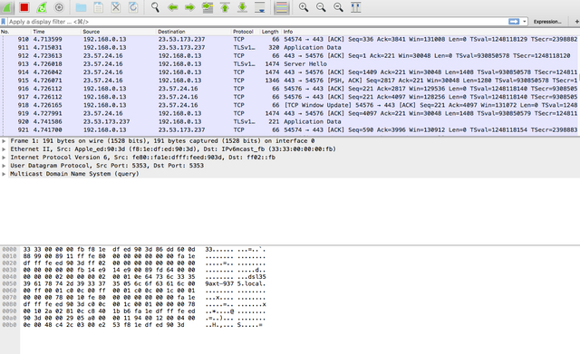 wireshark torrenting.png