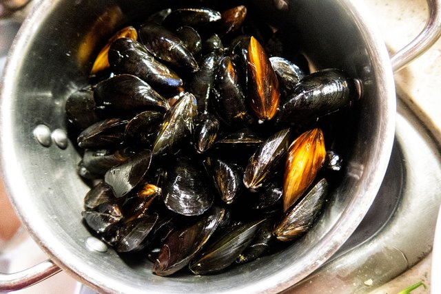 mussels.jpg