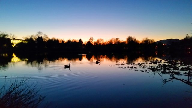 20160331_202052.jpg