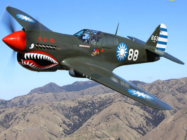 ws_Curtiss_P-40_Warhawk_1024x768-1.jpg