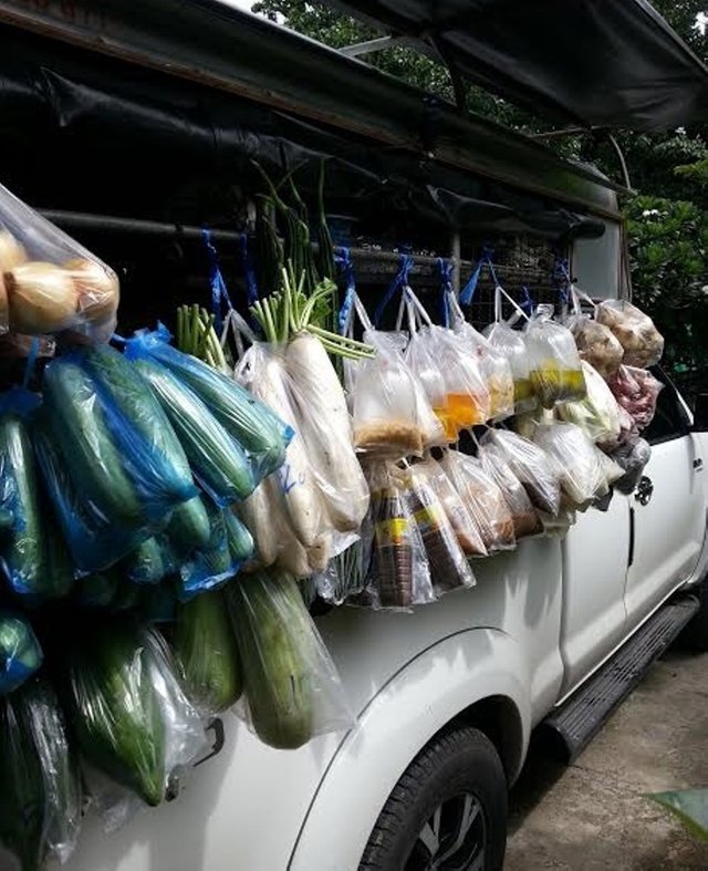 Mobile fruit and vegetable shop4.jpg