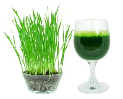 wheatgrass-juice.jpg