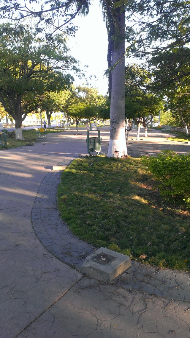 IMAG0285.jpg