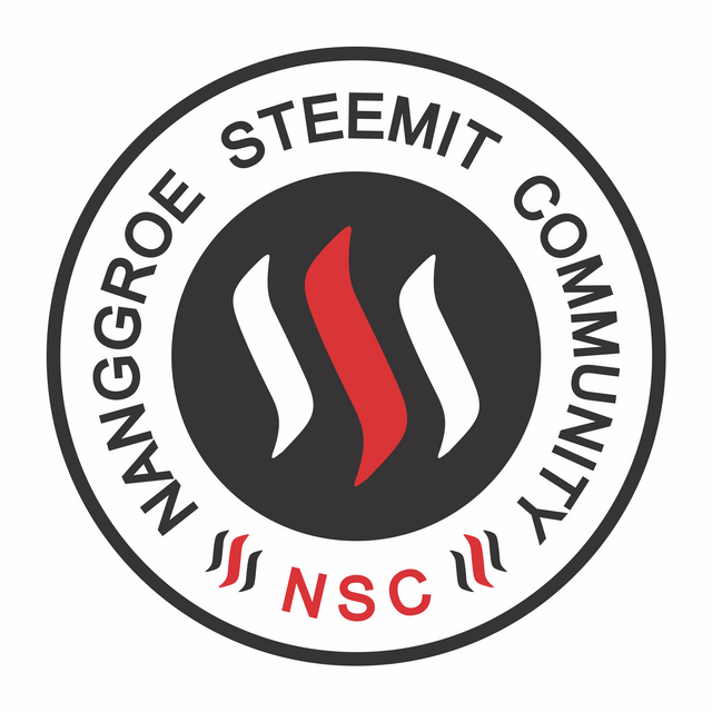 Logo NSC2.png