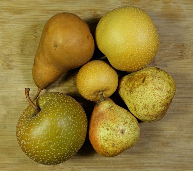 pear sampler 1.jpg