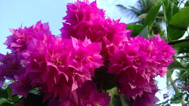 P_20180217_082345.jpg