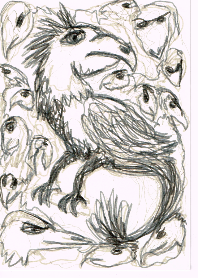 2017-05-birds.png