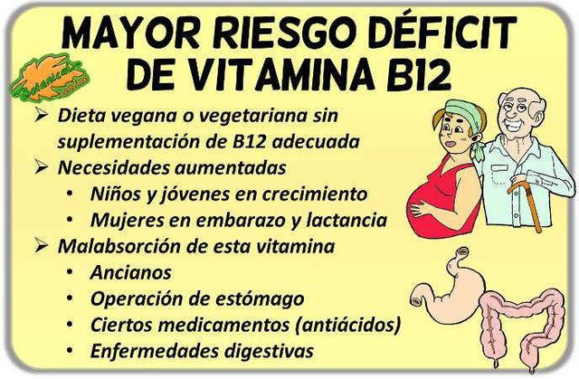 b12-vitamina-deficit-veganos.jpg