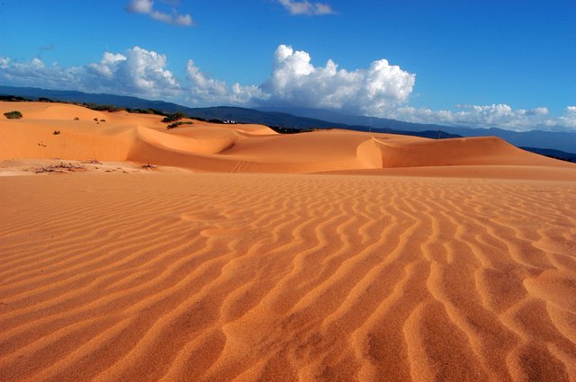 medanos.jpg