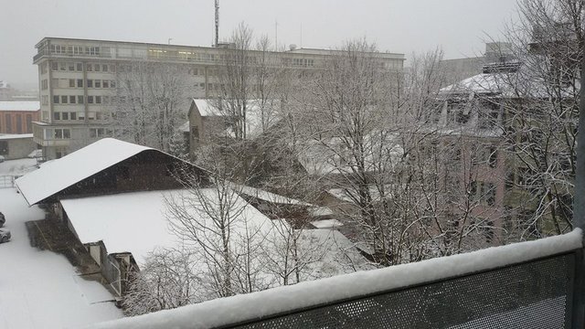 snow 2.jpg