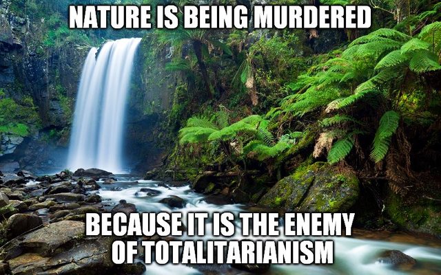 nature.jpg