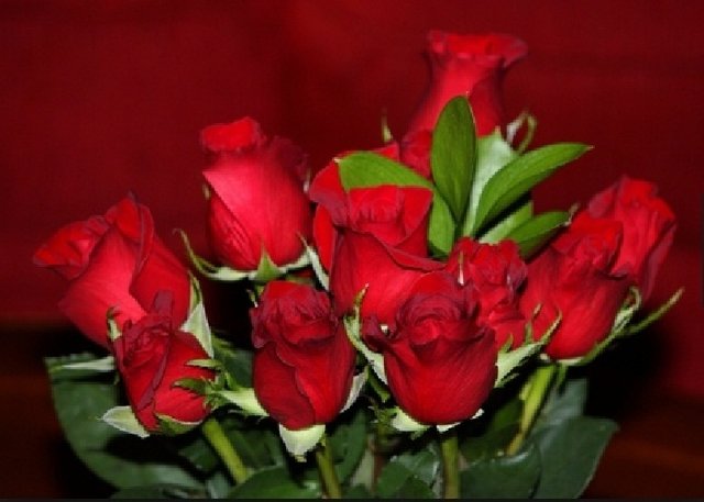 9 red roses flowers flora.jpg