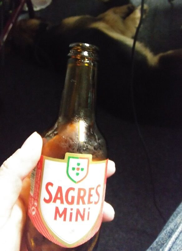 Sagres Mini.jpg