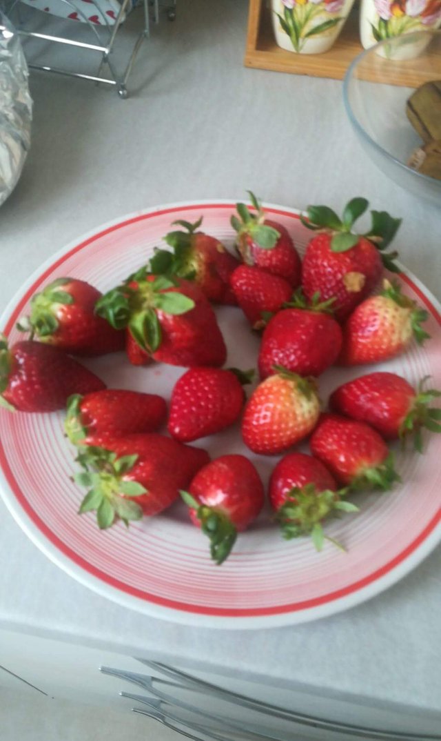 strawberry  (3).jpeg