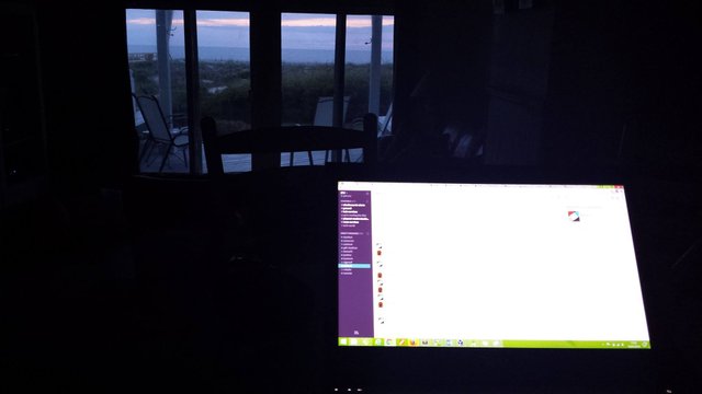 10. coding - remote working in florida for the uk - dolphins.jpg