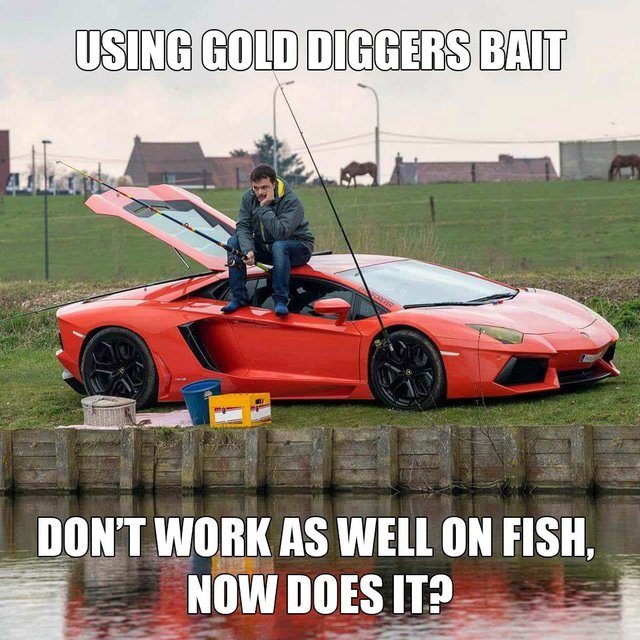 FerrariFishing 2.jpg