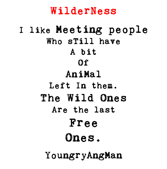 13_Wilderness.png