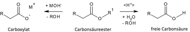 Ester-Hydrolyse.jpg