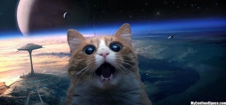 space cat.jpg