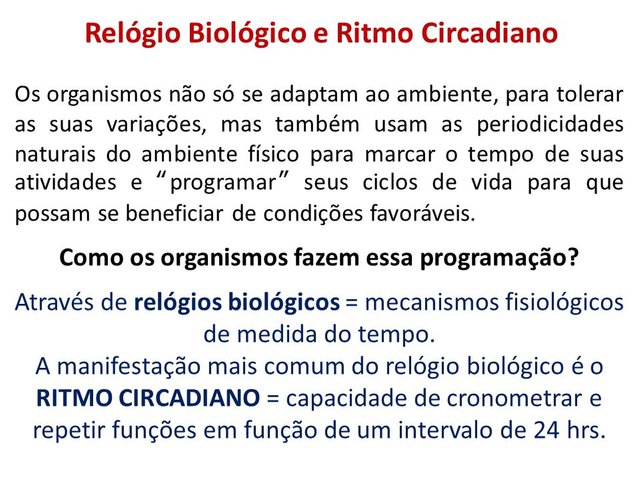 Relógio+Biológico+e+Ritmo+Circadiano.jpg
