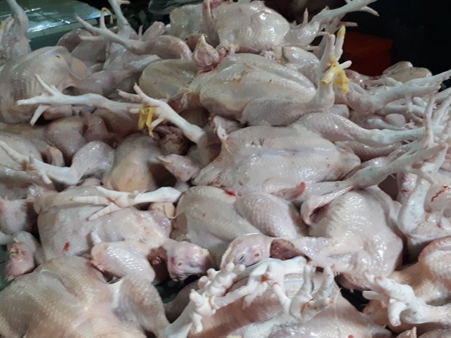 80+ Gambar Ayam Yg Sudah Dipotong Paling Bagus 80+ Gambar Ayam Yg Sudah Dipotong Paling Bagus